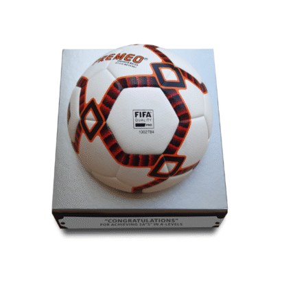 ADVANCED MATCH-THERMOBONDED FIFA QUALITY PRO LICENSE